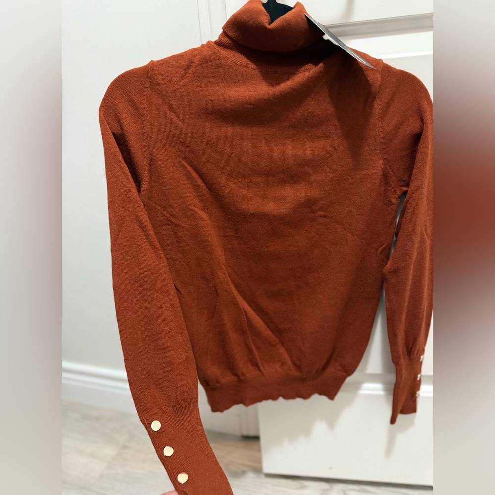 Fashion Nova Rust Turtleneck Sweater